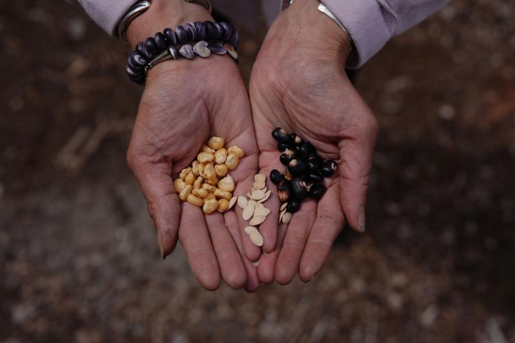Climate Farm Bill Indigenous