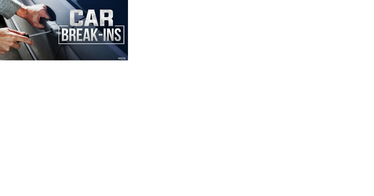 Smyrna Teen Arrested for Attempted Car Break-Ins - Vimarsana News