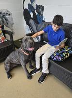 A young boy reads a book to a sitting dog while petting the dog's head. 