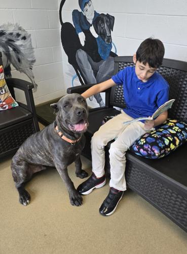 A young boy reads a book to a sitting dog while petting the dog's head. 
