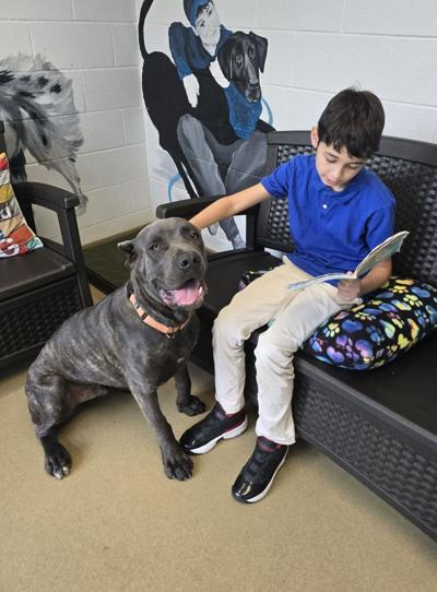 A young boy reads a book to a sitting dog while petting the dog's head. 