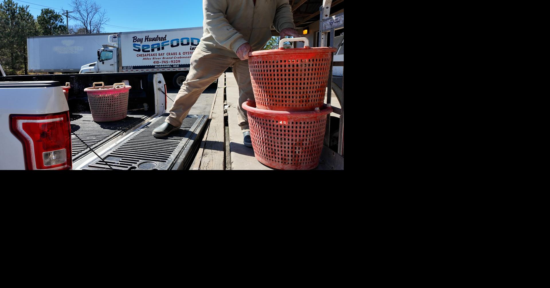 Additional relief for watermen in Maryland could be on the way