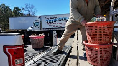 Unloading Oysters