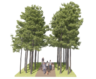 Worcester County To Hold Public Meeting on Greenways Master Plan