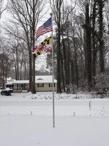 Lisa Bell Schnitzker Ocean Pines.jpg