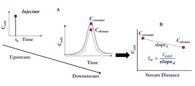 A Smarter Way to Measure How Streams Clean Themselves