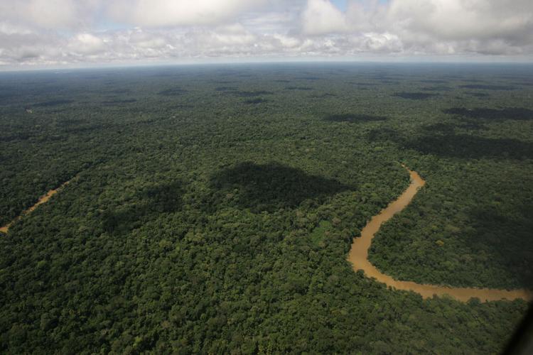 Ecuador Amazon Environment