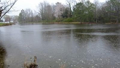 Henry's Mill Retention Pond