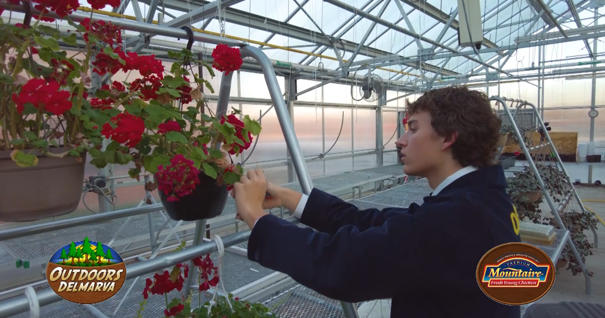 WBOC Mountaire Farm To Table Scholarship - Luke Michaud | Outdoors ...