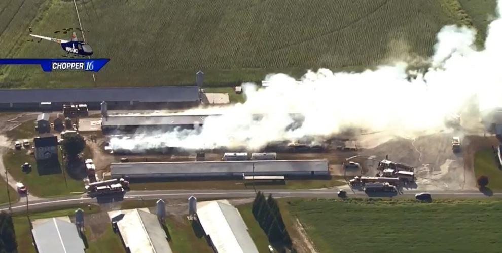 chicken fire 0811_3