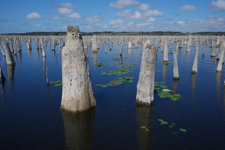 Climate Florida Dam Removal
