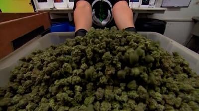 Town of Easton Discussing Possible 9-Month Marijuana Moratorium