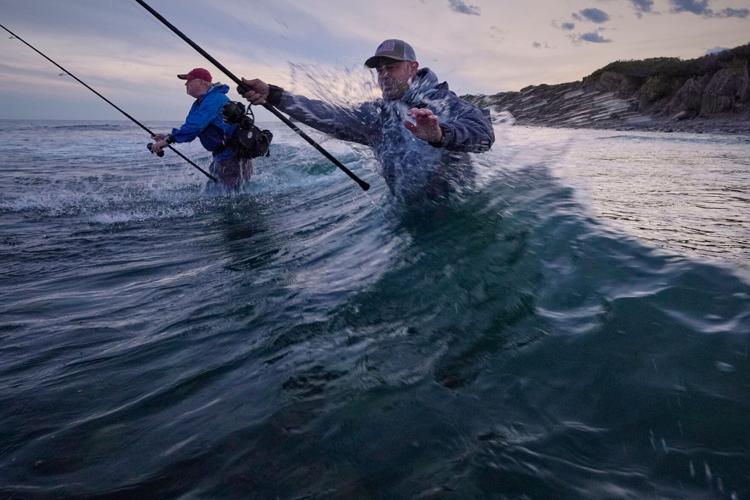 Saving Striped Bass