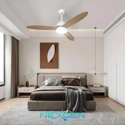 Discover the Best Cleaning Services in Wellington Florida
