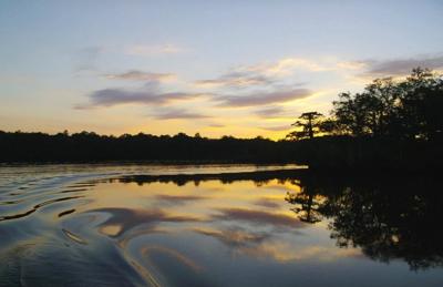 295088_431670356850731_1496069451_n