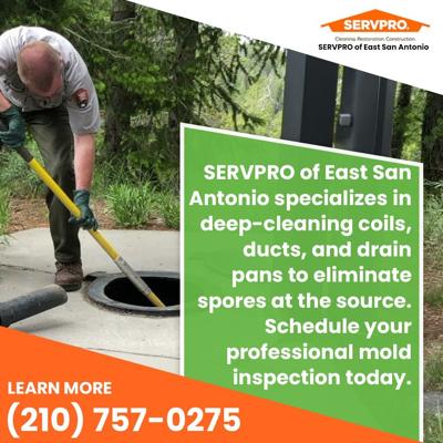 Prevent AC mold growth this Spring with professional mold remediation