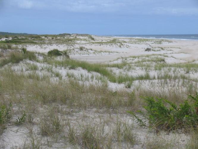 assateague