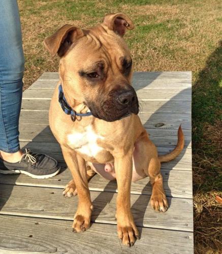 Marco_Fotor-600×687