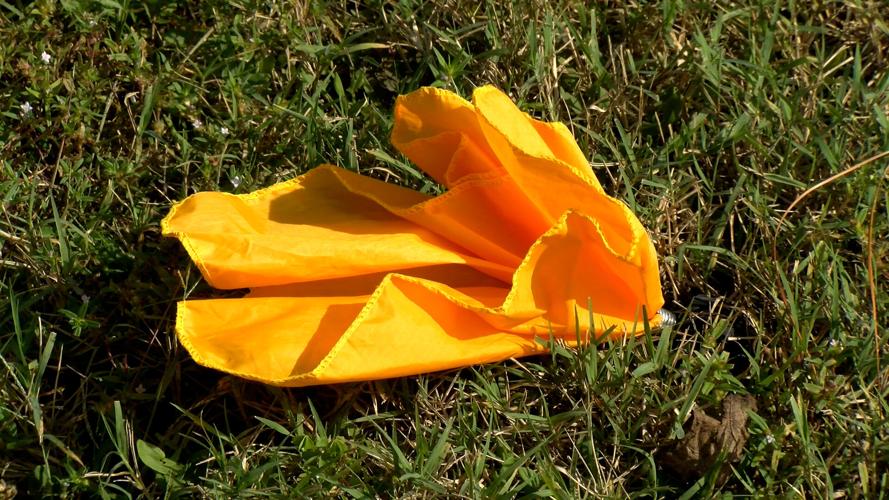 Ref Flag