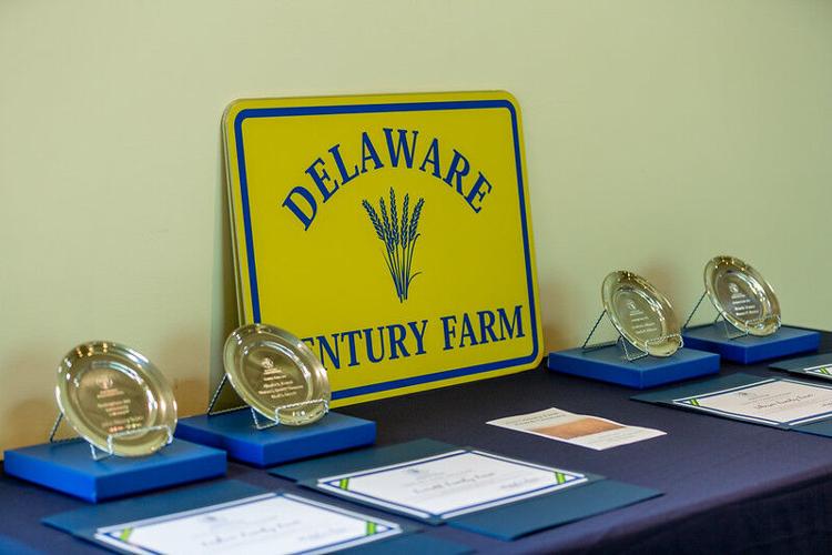 Century Farm