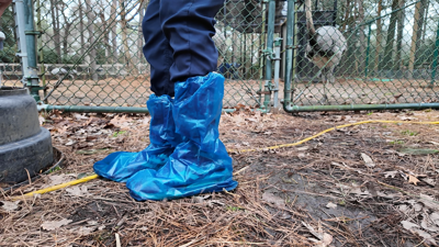 Zoo protection measures