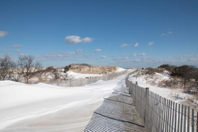 Snowfall at Cape Henlopen State Park