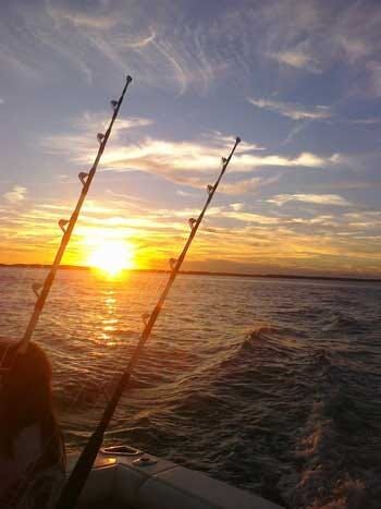 Delaware Regulators Eye Changes to Conch Fishing Rules