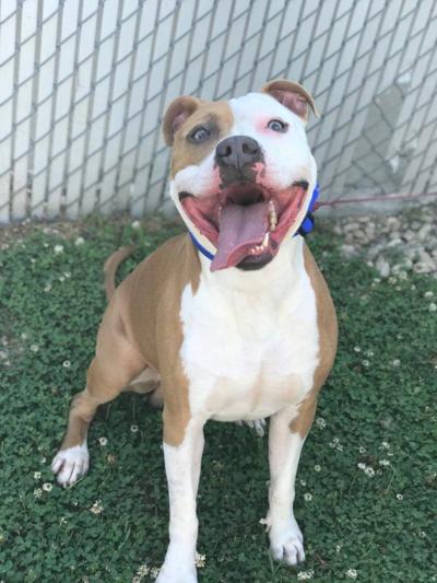 Tyson