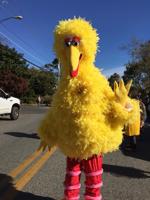 12180222_10154289813908032_1935120013_n