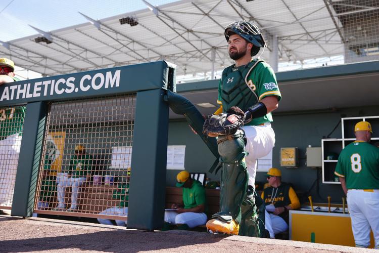 Brewers Athletics Spring Baseball