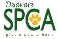 Delaware SPCA  Plans 4th Annual "Bark on the Boards"