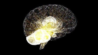 Routine Health Screenings Can Play an Important Role in Supporting Long-Term Brain Health