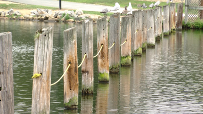 Ropes hanging from wooden poles in Lake Como to mark designated swimming area.