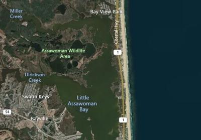 Updated: Police ID Pedestrian Killed New Year's Day in Fenwick Island Area Crash