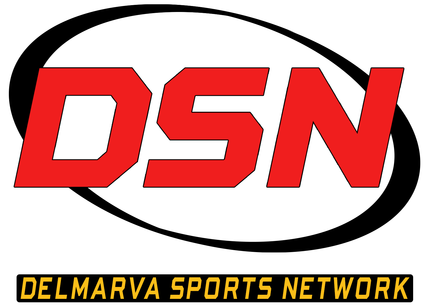 DSN logo
