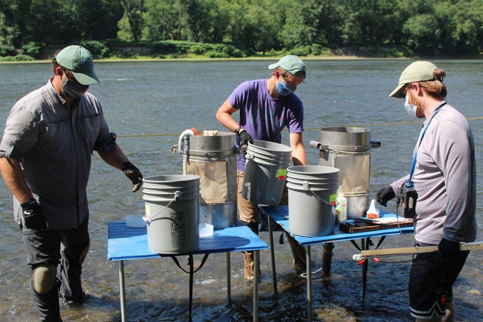 P&G arranges annual river survey | Business | wcexaminer.com - The Wyoming County Examiner