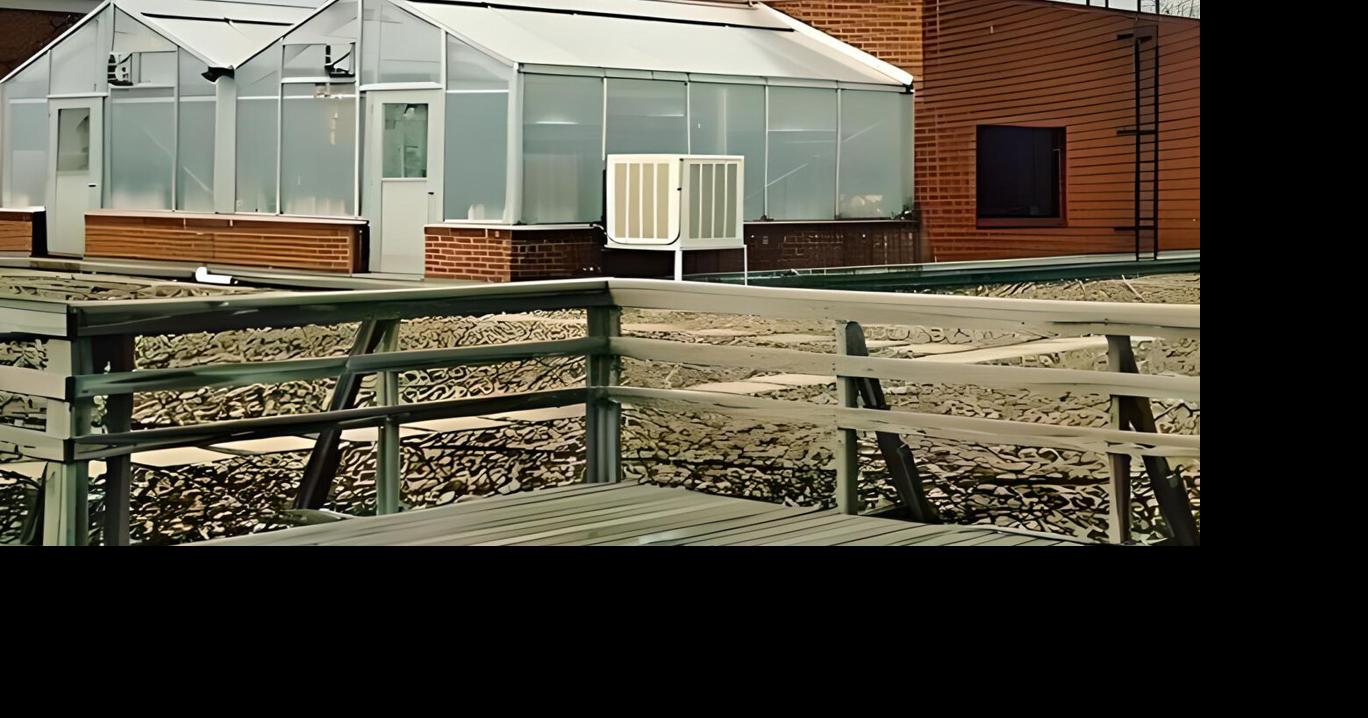 Campus Flashback! The Old College Rooftop Greenhouse | Our Campus ...