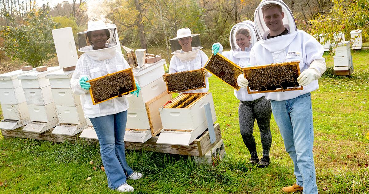 Westminster’s apiary project wins Governor’s Award for Environmental Excellence