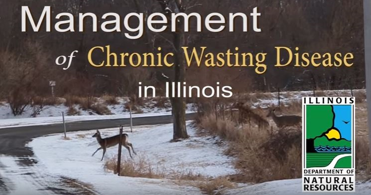 IDNR Pausing on Chronic Wasting Disease Public Meetings Until Fall 2027