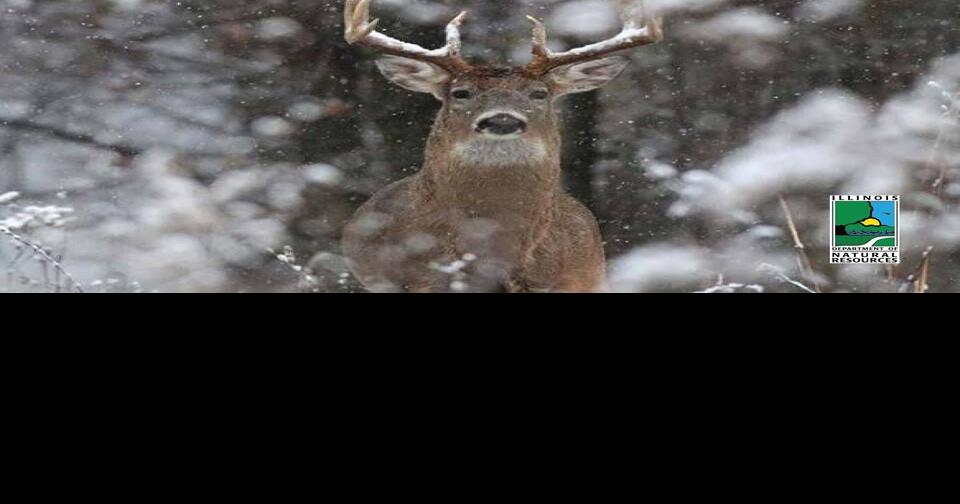 Deer Hunting Figures Up in Grundy County Local News