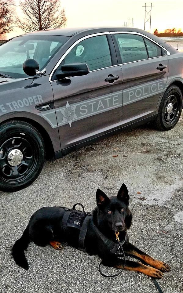 illinois state police k9