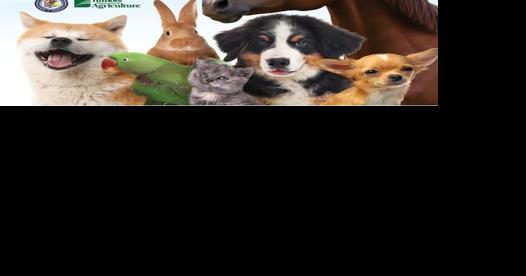 It's National Pet Preparedness Month