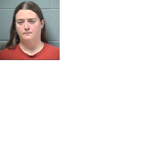 Woman Sentenced For Filing False Police Report | Local News | wcsjnews.com
