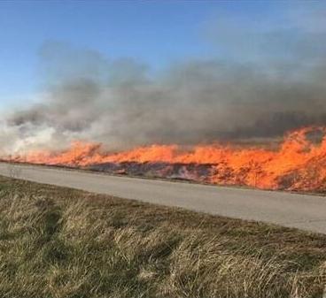 Several Spot Brush Fires Reported in Area | Local News | wcsjnews.com