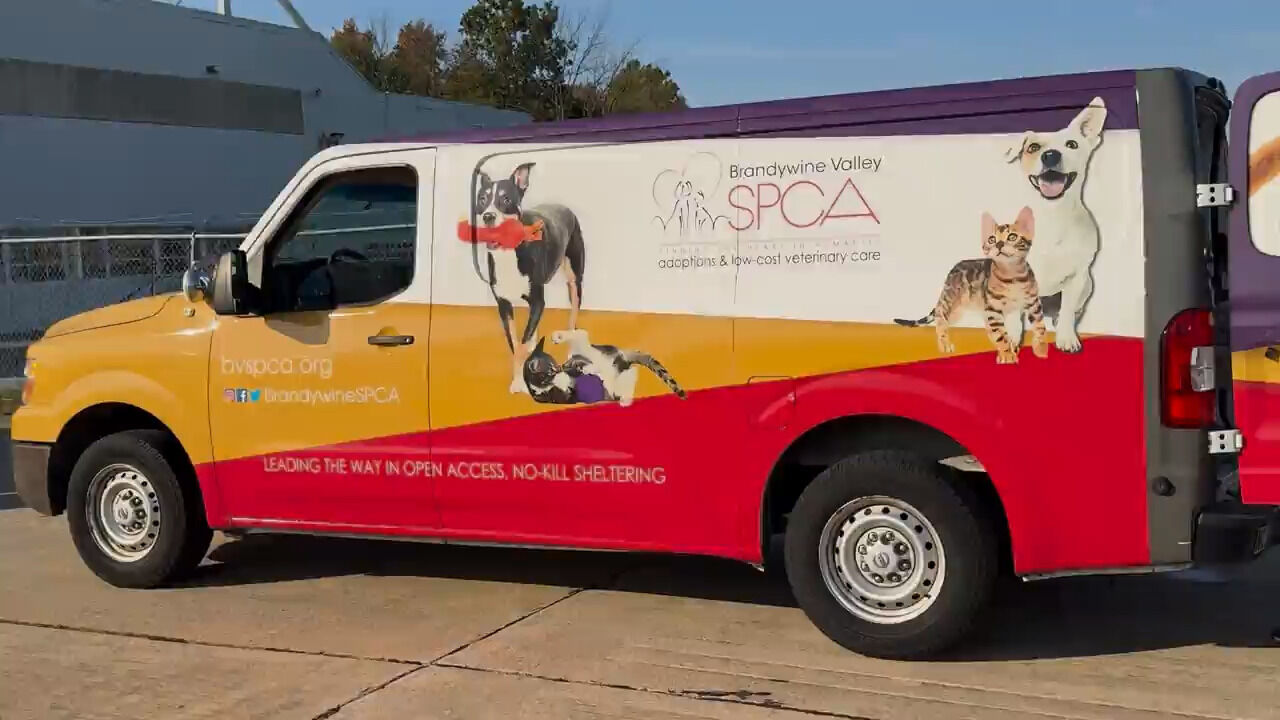 Looking to pick up a pet? The Brandywine Valley SPCA is where you’ll want to go this week