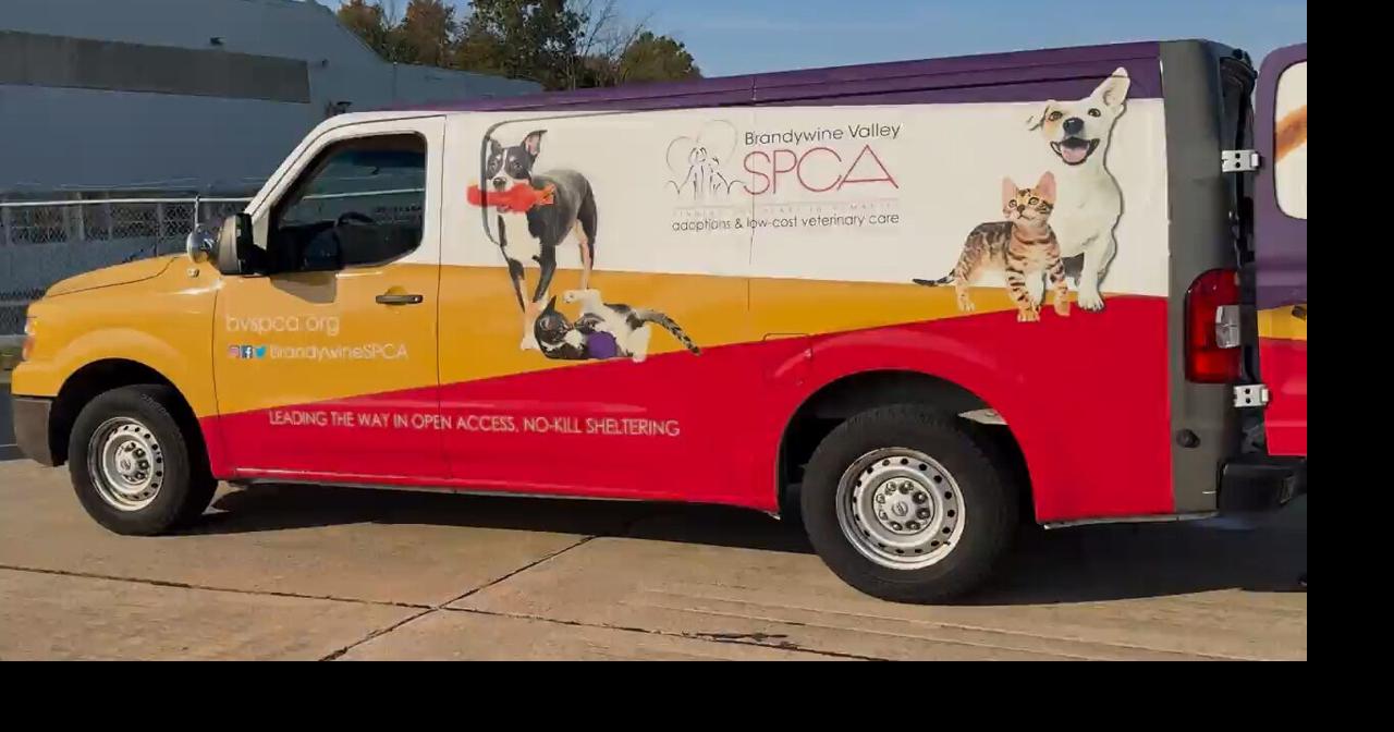 Looking to pick up a pet? The Brandywine Valley SPCA is where you’ll want to go this week | The Latest from WDEL News