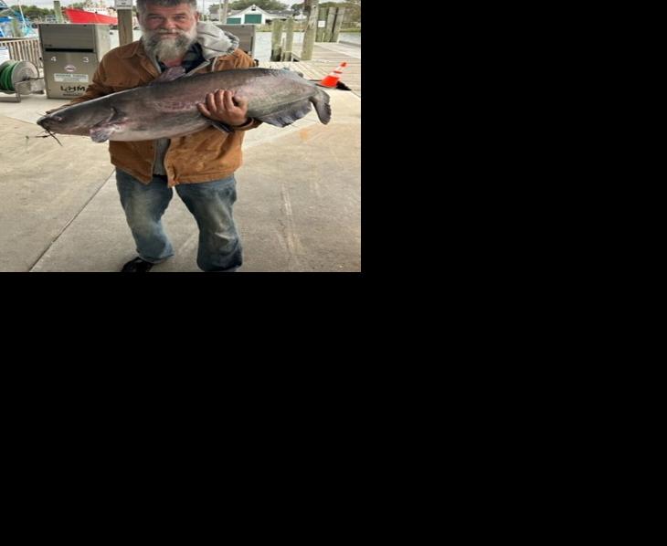 It's happened again: state record blue catfish caught downstate, The  Latest from WDEL News