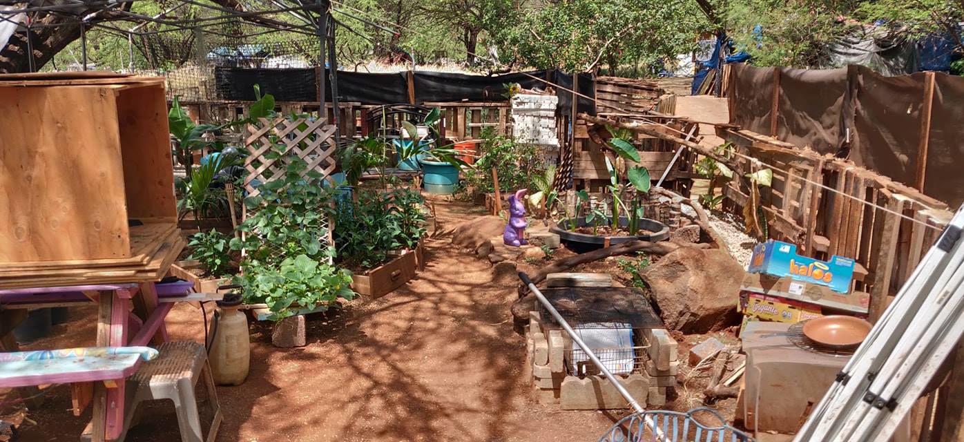 Spirit Behind Hawaiian Houseless Village Could Be Solution To Homelessness In Delaware Across Us The Latest From Wdel News Wdel Com