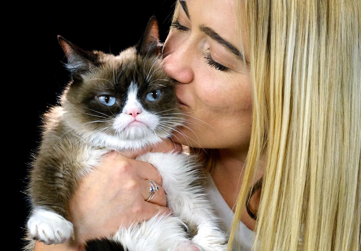 Grumpy Cat who miserably brought joy to millions dies at age 7 Grumpy Cat who miserably brought joy to millions dies at age 7