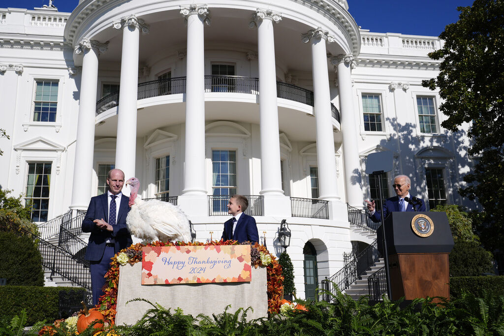 Bidens open final White House holiday season with turkey pardons, Christmas tree and ‘friendsgiving’